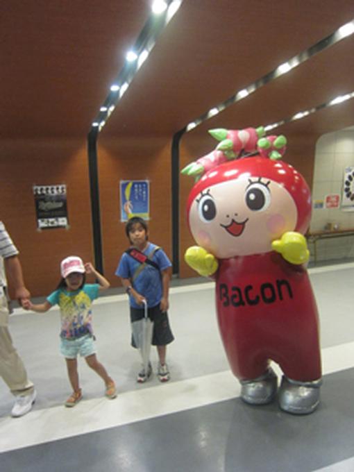 About Japan: A Teacher's Resource | Nippon Ham Mascot | Japan Society